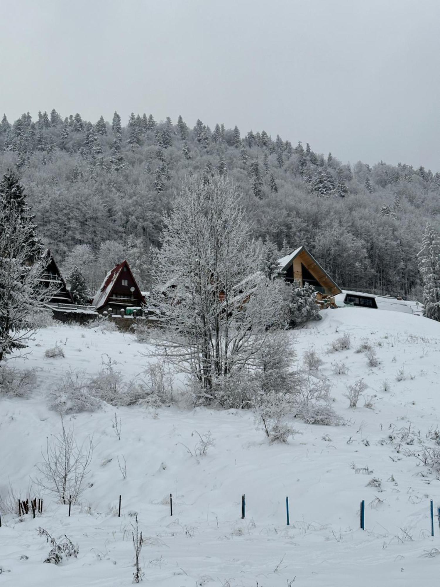 Apartman Forest View Donovaly Bagian luar foto