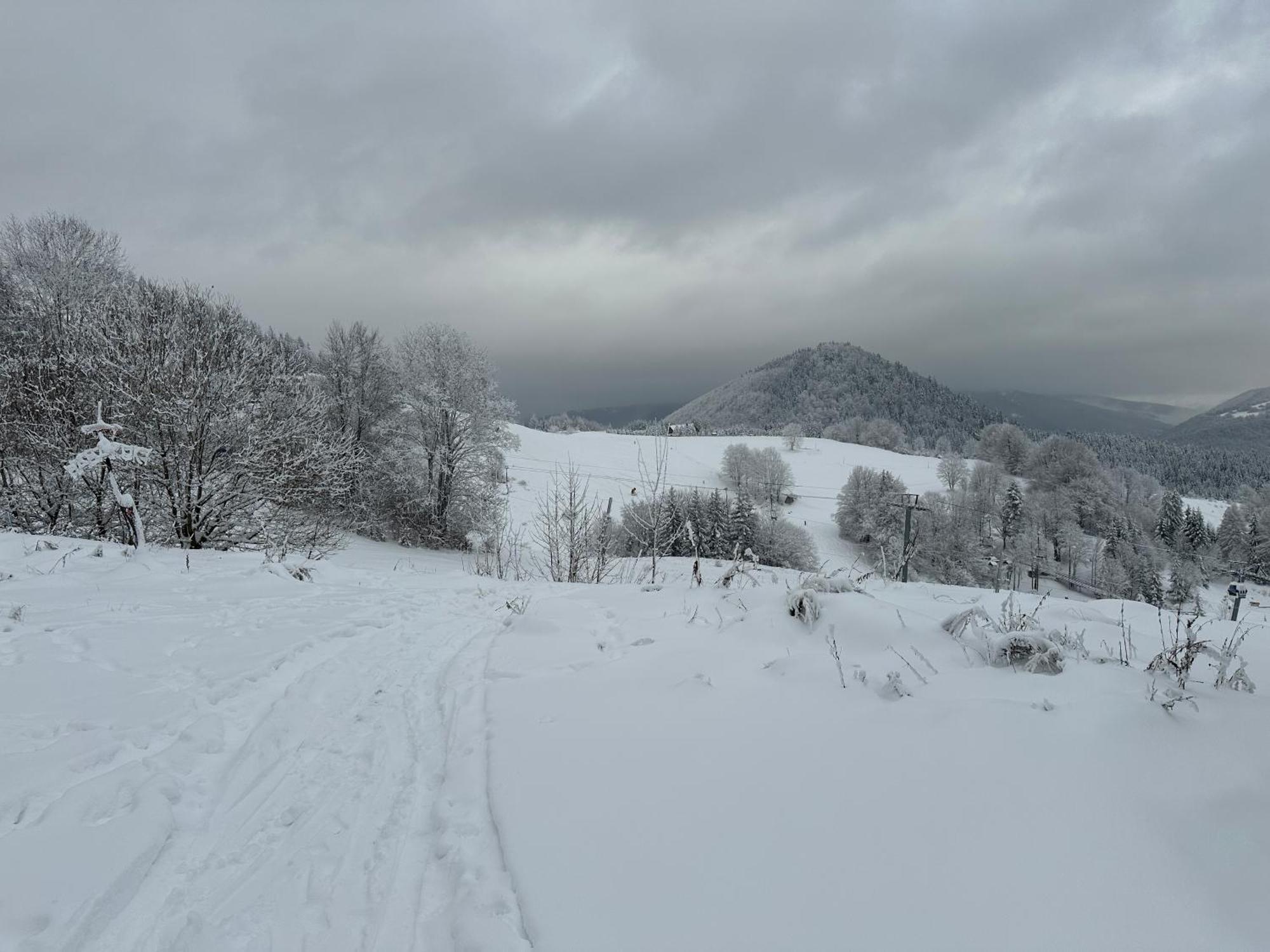 Apartman Forest View Donovaly Bagian luar foto