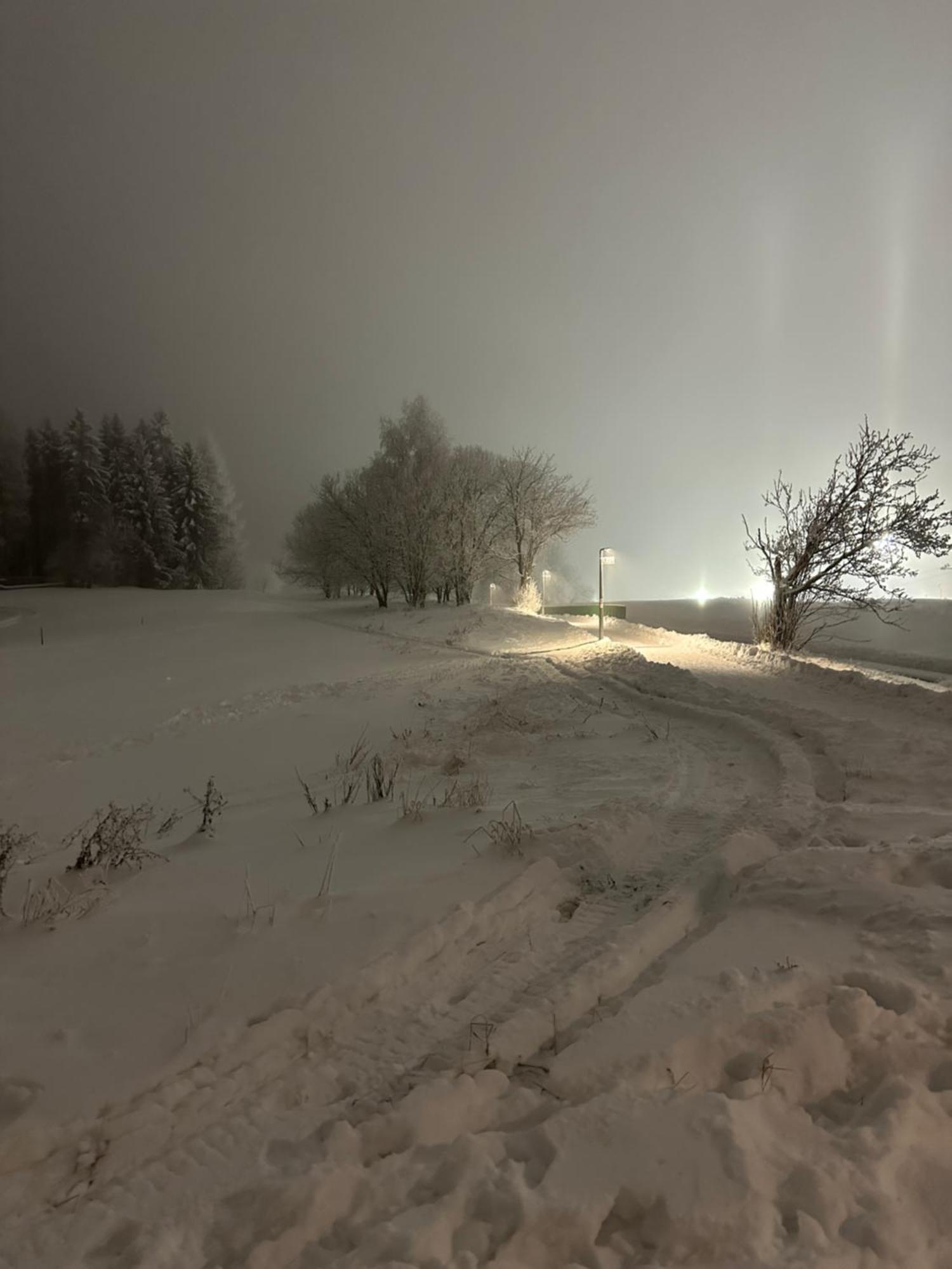 Apartman Forest View Donovaly Bagian luar foto